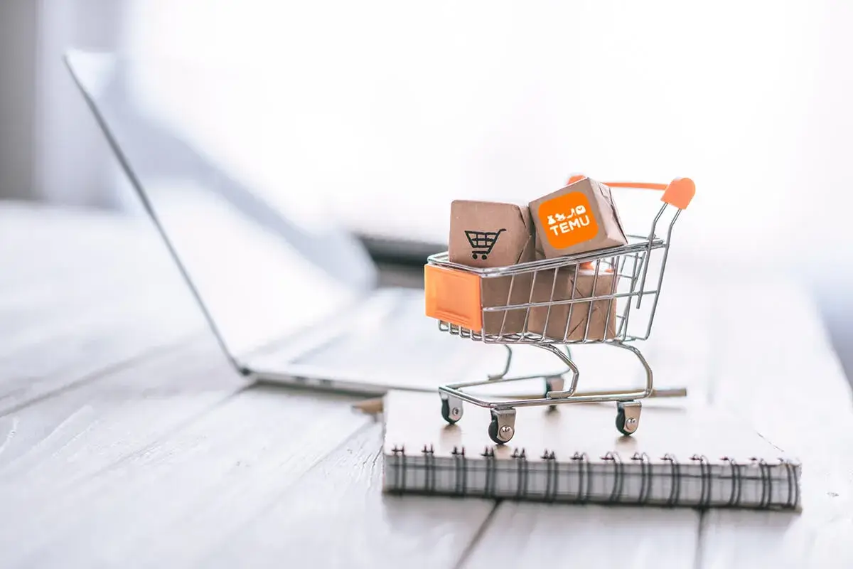 Temu: 'n Oorsig van die e-handelsplatform