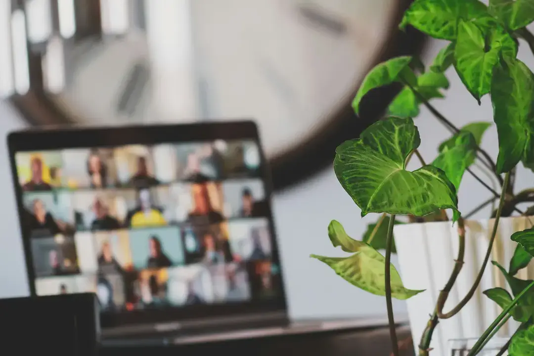 Die Besten Coding Bootcamps in Deutschland: Warum Code Labs Academy die Nase Vorn Hat